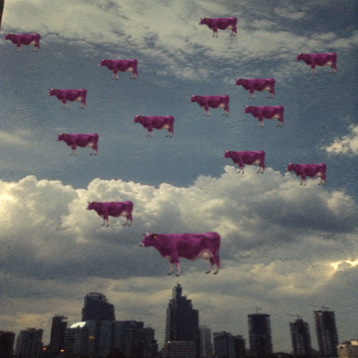 Purple Cow gallery image 1