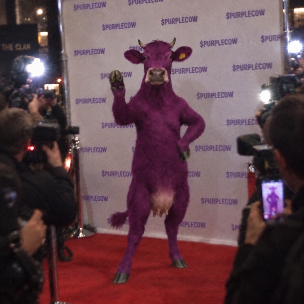 Purple Cow gallery image 10